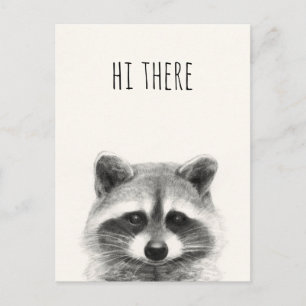 Racoon Pencil Drawing - Hi There Postcard