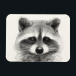 Racoon Pencil Drawing Magnet<br><div class="desc">Racoon Pencil Drawing by Victoria Borges</div>