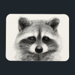 Racoon Pencil Drawing Magnet<br><div class="desc">Racoon Pencil Drawing by Victoria Borges</div>