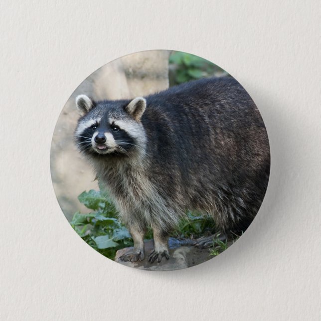 Racoon Pin (Front)