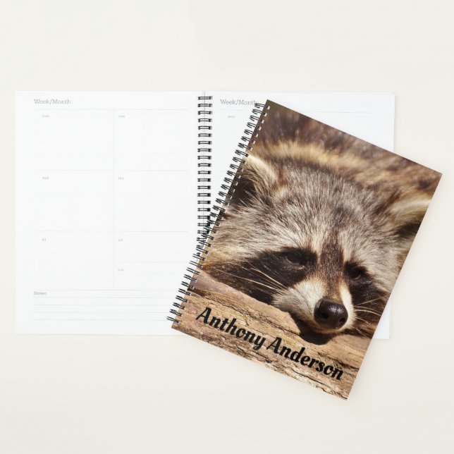 Racoon Planner (Display)
