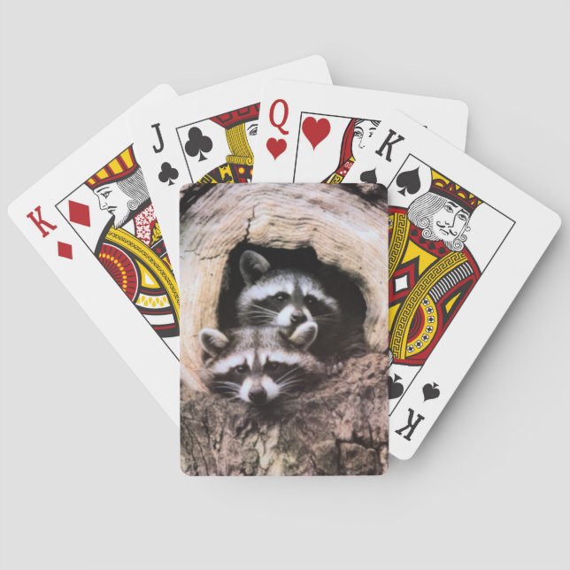 Racoon Playing Cards (Back)