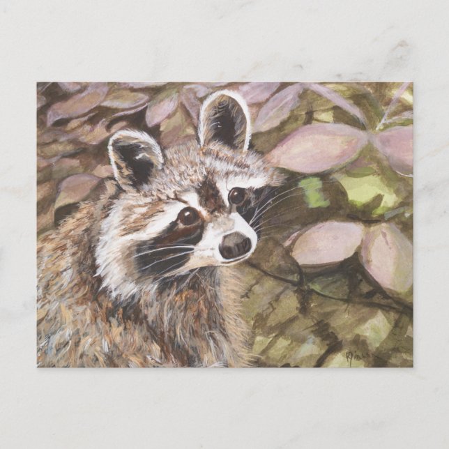 Racoon Post Card (Front)