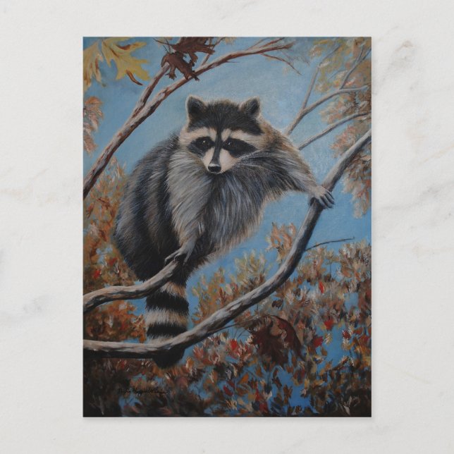 Racoon Postcard (Front)