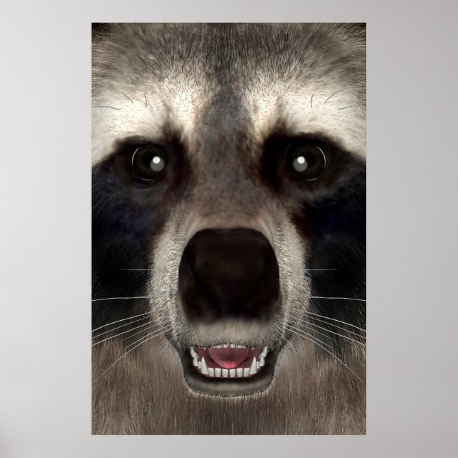 Racoon Poster (Front)