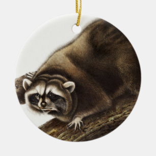 Racoon (Procyon lotor) Illustration Ceramic Ornament
