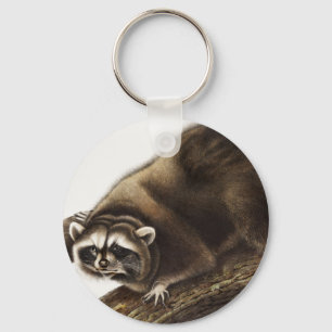 Racoon (Procyon lotor) Illustration Key Ring