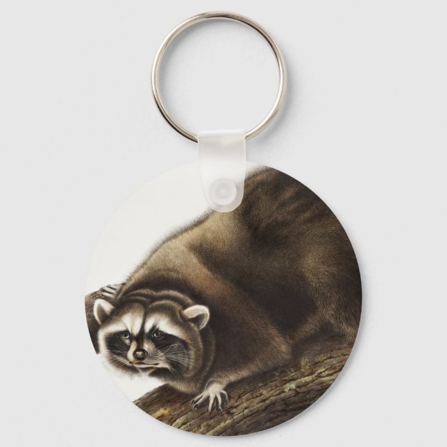 Racoon (Procyon lotor) Illustration Key Ring (Front)