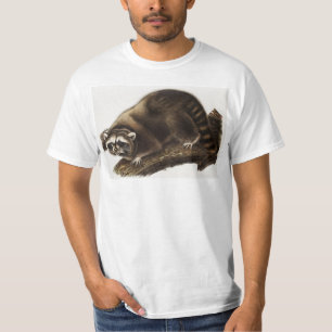Racoon (Procyon lotor) Illustration T-Shirt