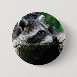 Racoon Profile 6 Cm Round Badge