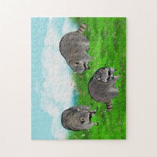Racoon Puzzle