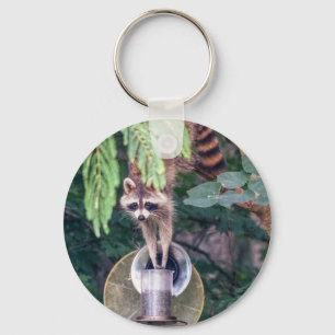 Racoon Raiding the Bird Feeder Key Ring