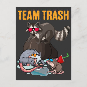 Racoon Rat Trash Panda Garbage Animal Humour Postcard