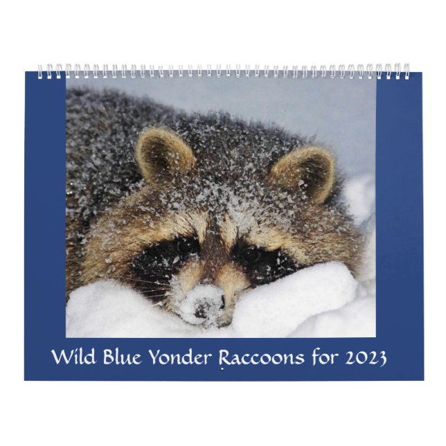 Racoon Rescue & Release at Wild Blue Yonder 2023 Calendar (Cover)