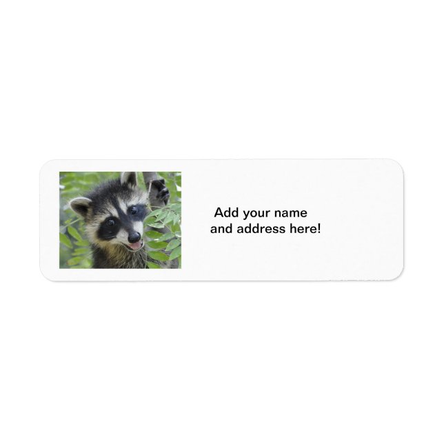 Racoon Return Address Labels (Front)