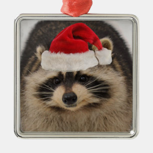 Racoon santa ornament