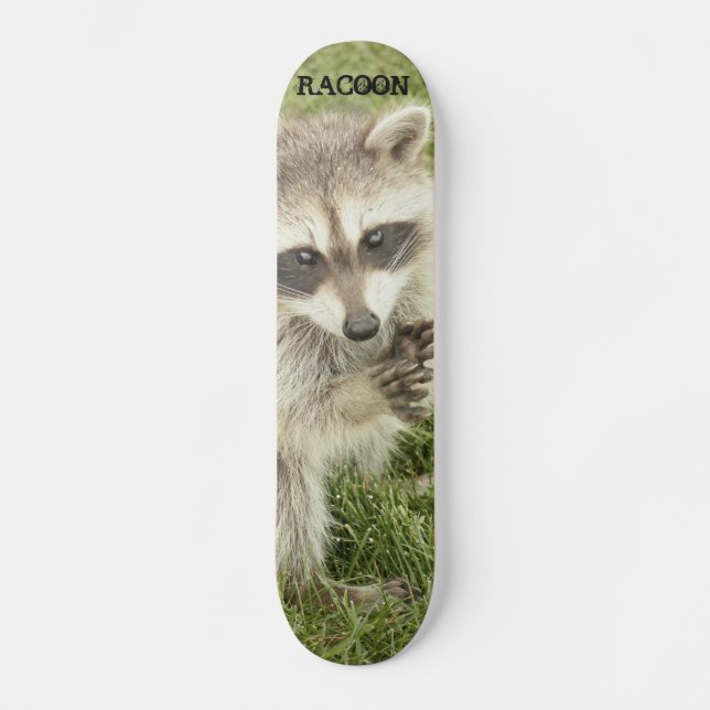Racoon Skateboard (Front)