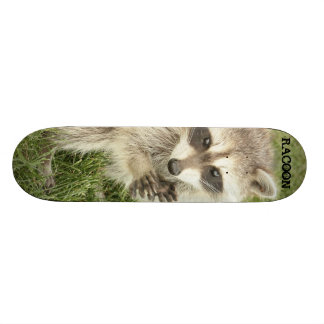 Racoon Skateboard