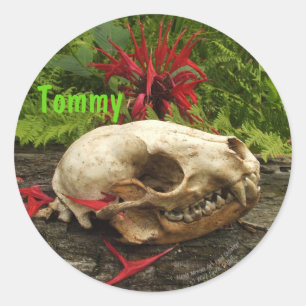 Racoon skull old log with ferns and red Monarda Classic Round Sticker