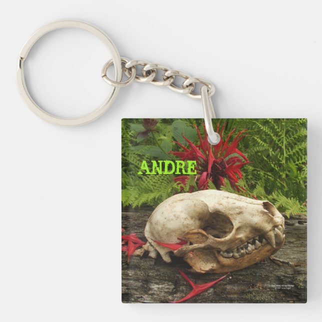 Racoon skull old log with ferns and red Monarda Key Ring (Front)