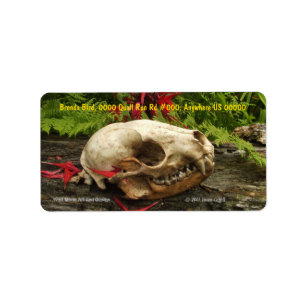 Racoon skull old log with ferns and red Monarda Label