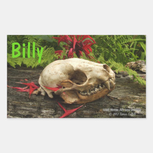 Racoon skull old log with ferns and red Monarda Rectangular Sticker