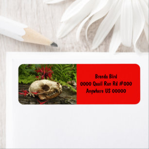 Racoon skull old log with ferns and red Monarda Return Address Label