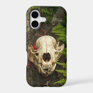 Racoon Skull On Old Log With Ferns And Red Petals