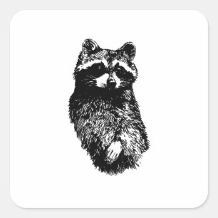 Racoon Square Sticker