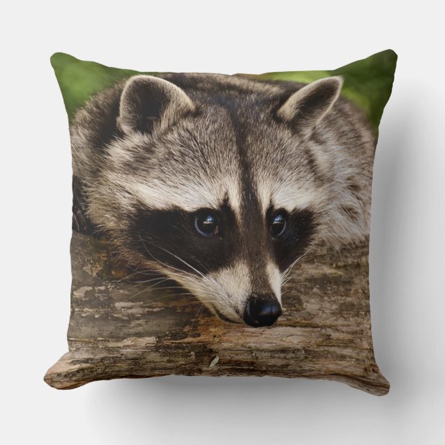 Racoon Square Throw Pillow (Front)