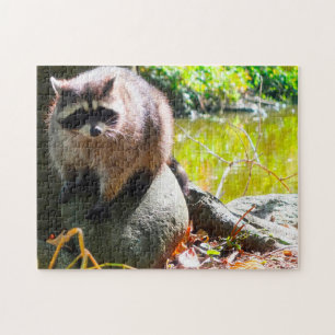 Racoon Stanley Park Vancouver. Jigsaw Puzzle