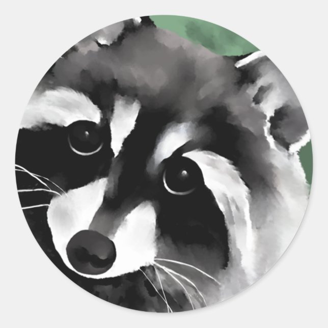 Racoon Stickers (Front)