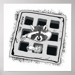 Racoon Stuck in Grate Illustration Poster