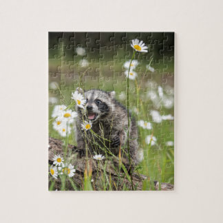Racoon Surprise Jigsaw Puzzle
