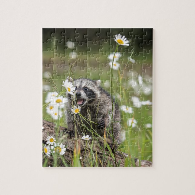 Racoon Surprise Jigsaw Puzzle (Vertical)