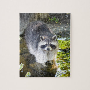 Racoon Swimming in River Water Jigsaw Puzzle