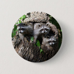 Racoon - The Three Amigos 6 Cm Round Badge