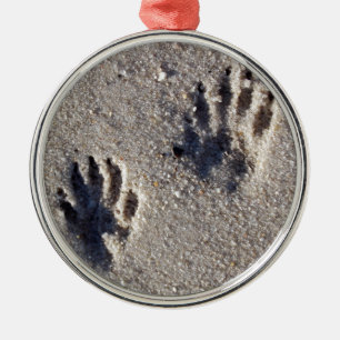 Racoon Tracks in the Sand Metal Tree Decoration