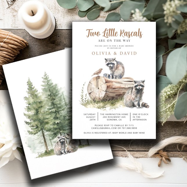 Racoon Twins Baby Shower Invitation (Creator Uploaded)