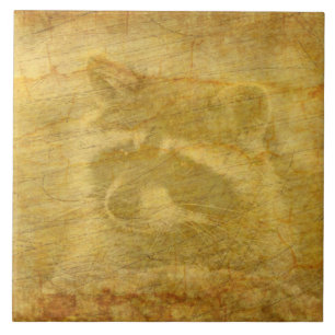 Racoon Vintage Ceramic Tile