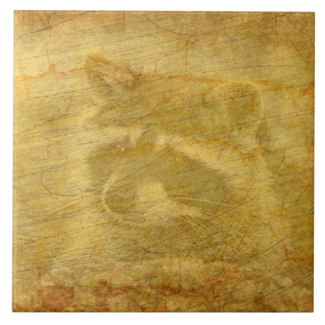 Racoon Vintage Ceramic Tile (Front)