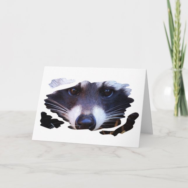 RACOON WASCHBÄR - Photography Jean-Louis Glineur Card (Front)