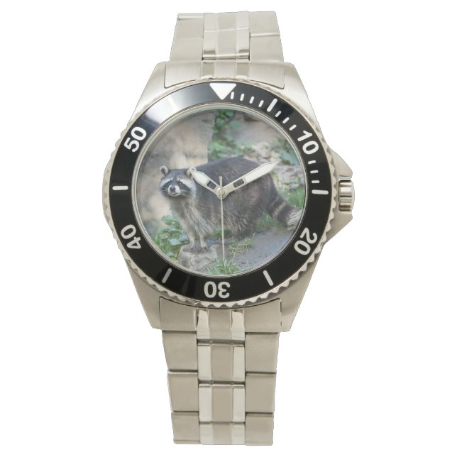 Racoon Watch (Front)