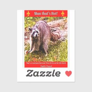 Racoon With A Fleur De Lis Sticker