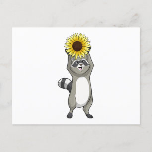 Racoon with Sunflower Postcard
