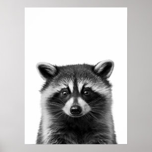 Racoon Woodland Modern Portrait black white   Poster