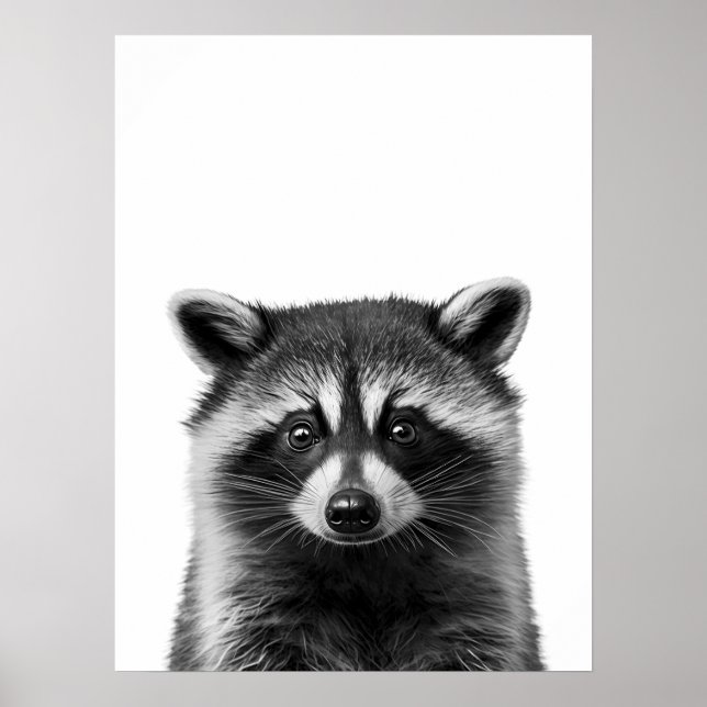 Racoon Woodland Modern Portrait black white   Poster (Front)