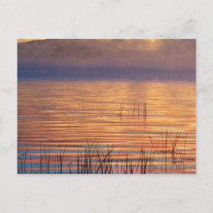 Racquette Lake   Adirondack Mountains, New York Postcard