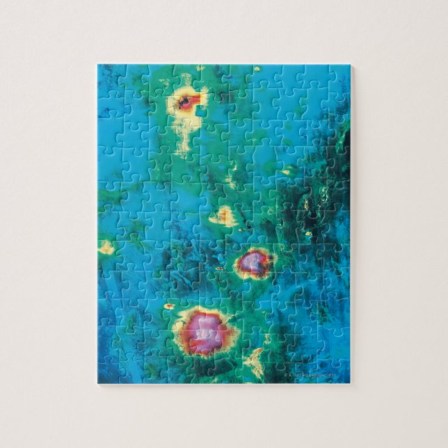 Radar Image Data Jigsaw Puzzle (Vertical)