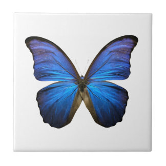 Radiant Blue Butterfly Ceramic Tile